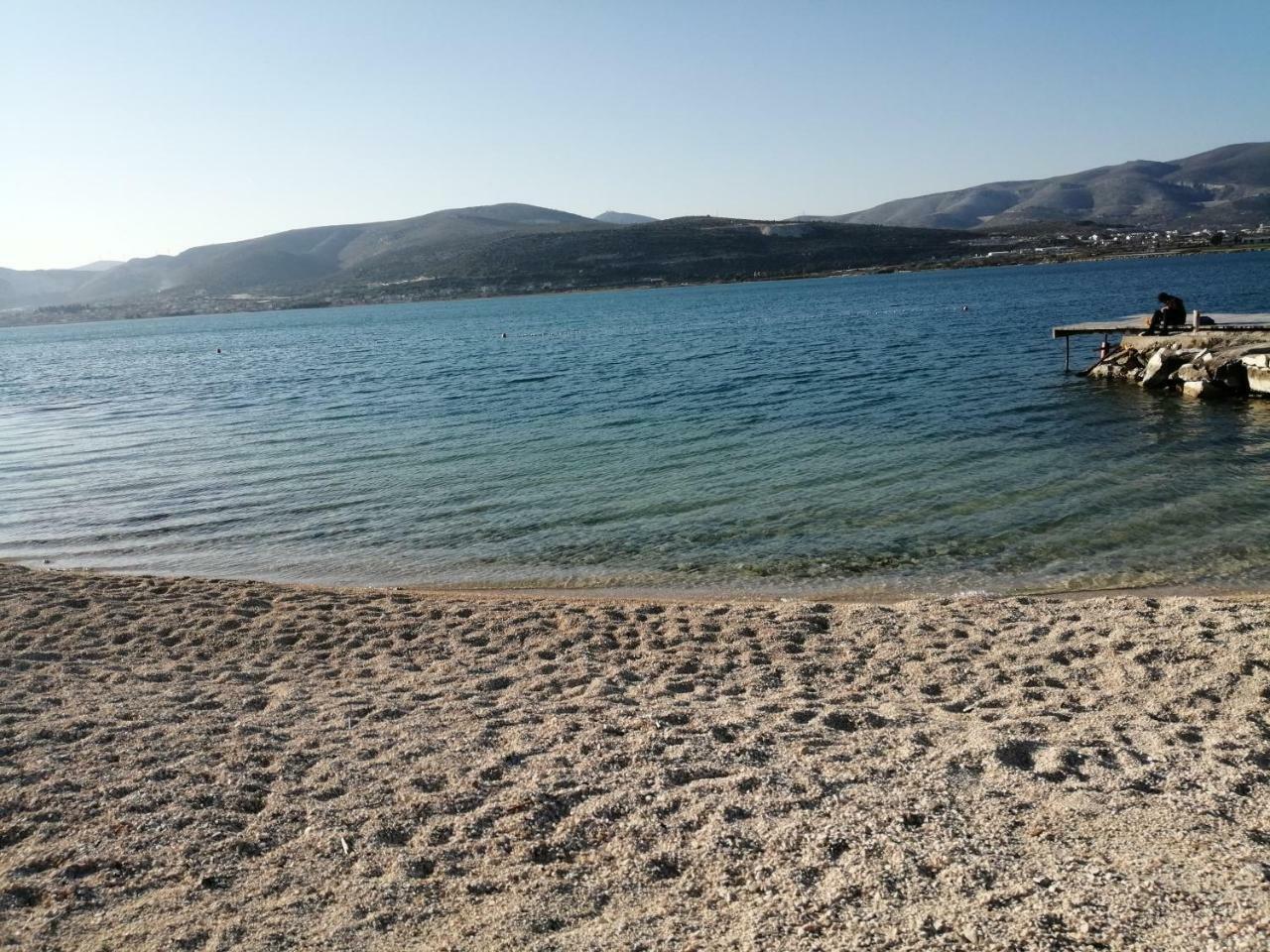 Apartments Bagaric Trogir Bagian luar foto